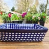 Auflaufform, 29 x 23 x 7 cm, 3000 ml Tradition 4 - BSN 0449^Bunzlauer Keramik Outlet