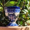 Eierbecher, Tradition 9- polska pottery - cerámica de polonia - BSN 1841^Bunzlauer Keramik Discount