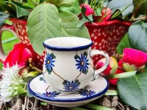 Mocca- / Espressotasse mit Unterteller, 70-80 ml, Tradition 8 - BSN 4044^Bunzlauer Keramik Online