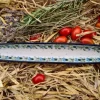 Olivenschale, 31 x 5 cm, Höhe 2,5 cm, Tradition 7 - BSN 20370^Bunzlauer Keramik Outlet