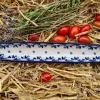 Olivenschale, 31 x 5 cm, Höhe 2,5 cm, Lady, BSN A-0750^Bunzlauer Keramik Online