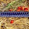 Olivenschale, 31 x 5 x 2,5 cm, Trad. 6, BSN 20373^Bunzlauer Keramik Hot