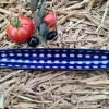 Olivenschale, 25,5 x 4 x 2,5 cm, Trad. 4, BSN 20435^Bunzlauer Keramik Fashion