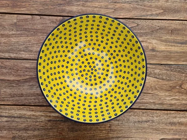 Schale, ca. Ø 20 cm, 1500 ml, Höhe ca. 8,5 cm, Tradition 20, Vol. 1,2 l, BSN 7829^Bunzlauer Keramik Hot