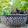 Schale, 23x23 cm,9 cm, Crazy dots^Bunzlauer Keramik Sale
