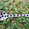 Suppenkelle, 30 cm, Tradition 28 - BSN 21776^Bunzlauer Keramik New