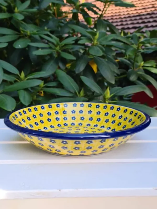 Suppenteller, Ø 21,5 cm, Tradition 20- BSN 7551^Bunzlauer Keramik Discount