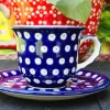 Tasse mit Untertasse, 150 ml, Tradition 5, BSN 2033^Bunzlauer Keramik New