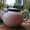 Teekanne, 1,8 l, Little Gem^Bunzlauer Keramik Hot