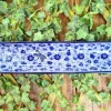 Vorspeisenschale, 34 cm lang, Dragonfly, BSN A-0948^Bunzlauer Keramik Fashion