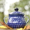 Zuckerdose, 200 ml, Unikat 22, polish pottery - BSN 10316^Bunzlauer Keramik Fashion